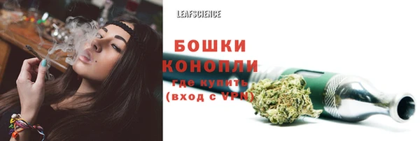МДПВ Горняк