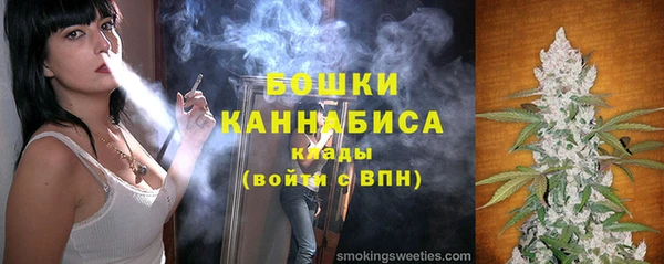 гашик Вяземский