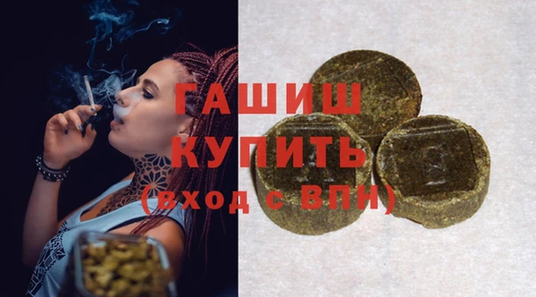 гашик Вяземский