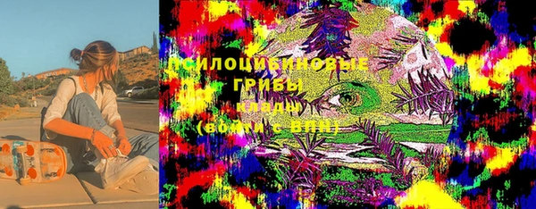 гашик Вяземский
