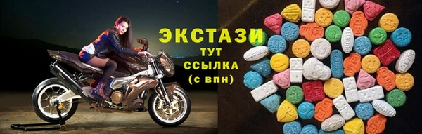 гашик Вяземский